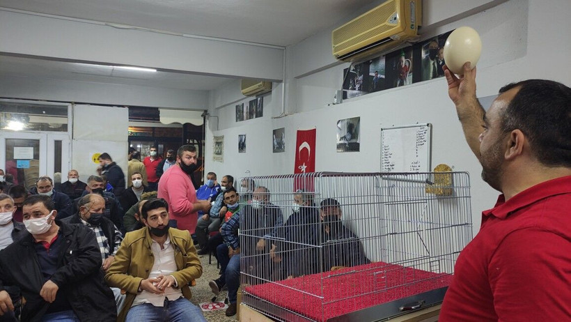 Bursa'da açık arttırmaya çıkarıldı! Kıyası mücadele verdiler: İlk defa gören şaştı kaldı - Resim: 3