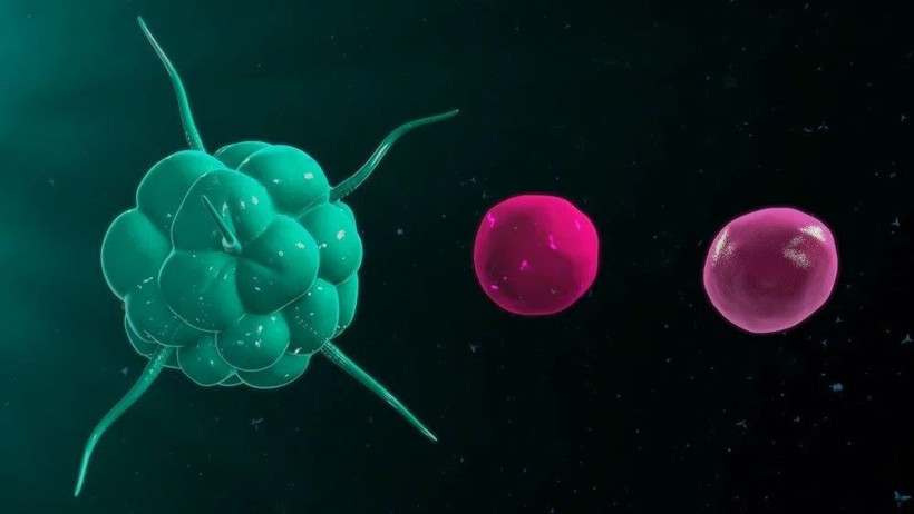 Alman profesör: Omicron varyantı koronavirüsün hafif bir hastalığa dönüştüğünü gösteriyor - Resim: 4