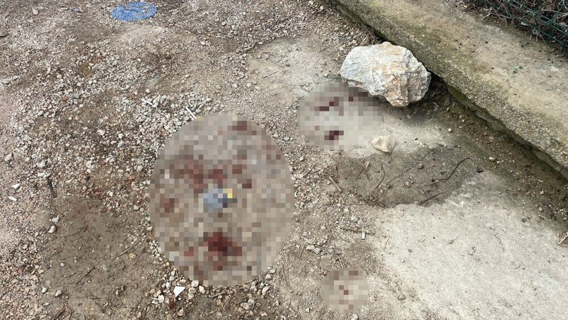 Konya'da sedyedeki yaralının kafasına sıkıp öldürdü! Doktora silah dayayıp bakın ne demiş - Resim: 2