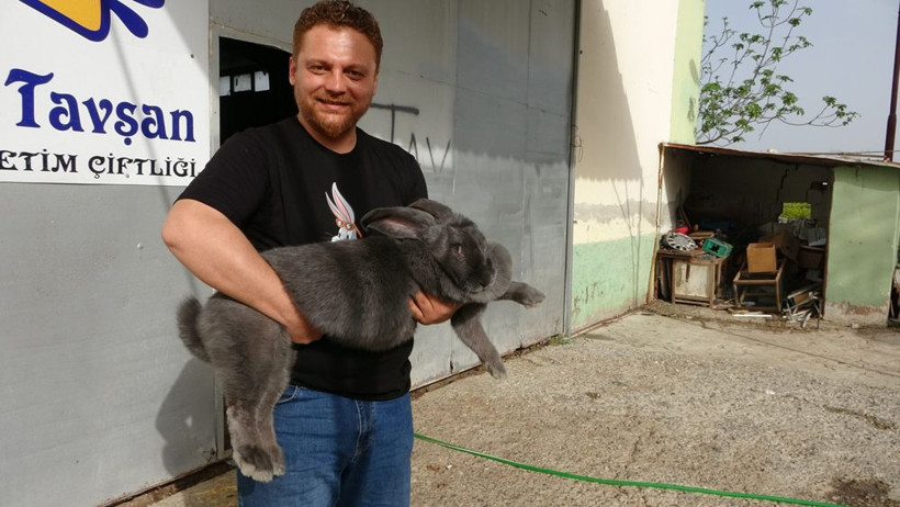Yurtdışından getirtti gören gözlerine inanmıyor! Hepsi dev gibi - Resim: 4