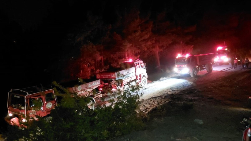 Hatay'da orman yangını çıktı! Söndürme çalışmaları sürüyor - Resim: 1
