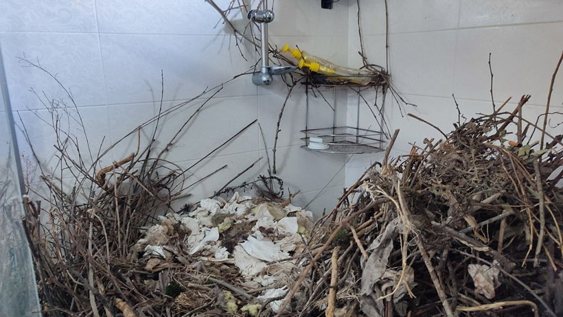 2 yıldır boş duruyordu! Eve girdi gördüğü manzara karşısında şoke oldu - Resim: 3