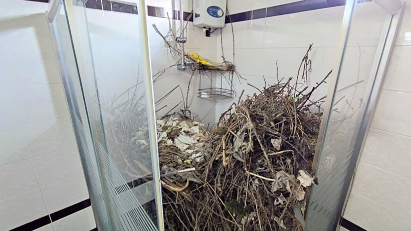 2 yıldır boş duruyordu! Eve girdi gördüğü manzara karşısında şoke oldu - Resim: 4