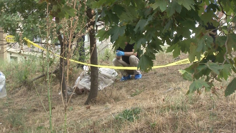 Pendik'te işçiler fark etti! Korkunç manzara ağaçta bulundu - Resim: 2