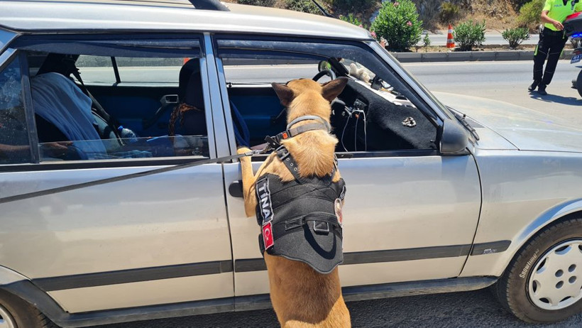 Akın akın geliyorlar! Bodrum'a 48 saatte 50 bin araç giriş yaptı - Resim: 4