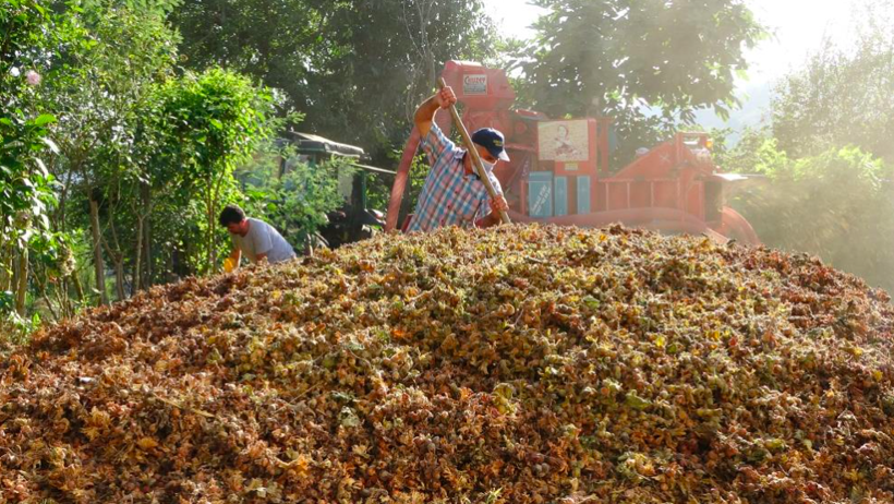 Yılda sadece 1,5 ay çalışıyorlar! Saatlik ücretleri 2 bin lira - Resim: 1