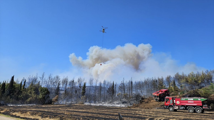 Çanakkale'de orman yangını! Havadan ve karadan müdahale başladı, bölge ziyarete kapatıldı - Resim: 1