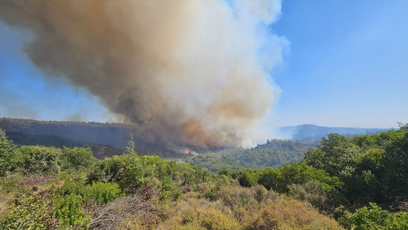 Çanakkale'de orman yangını! Havadan ve karadan müdahale başladı, bölge ziyarete kapatıldı - Resim: 2