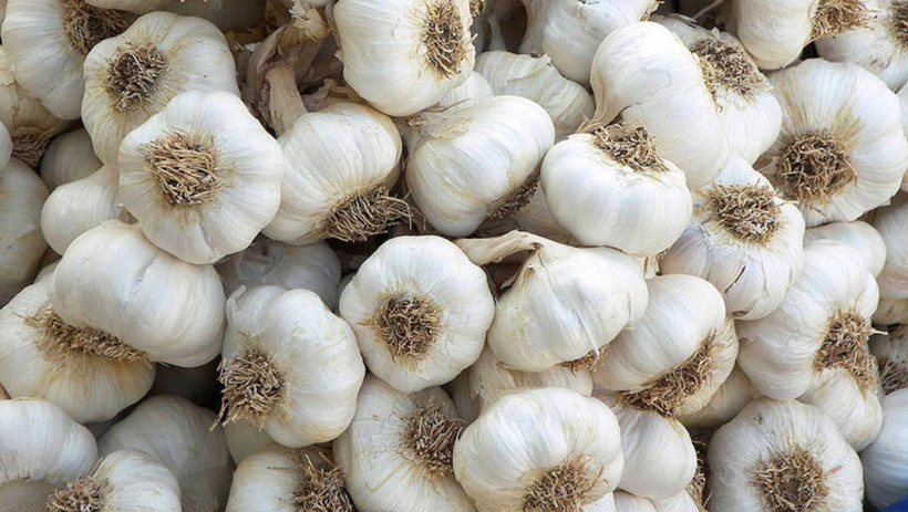 Sebze fiyatları artıyor ancak sarımsak tarlada çürüyor - Resim: 3