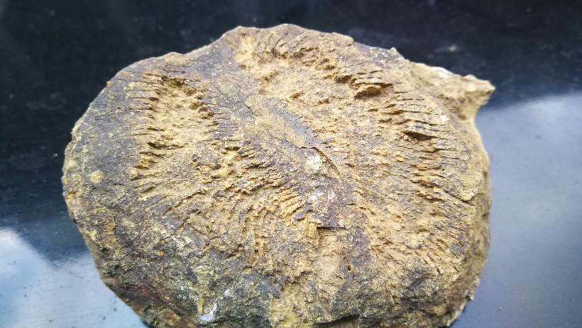 İznikli çiftçi tarlasındaki kayalıklarda büyük bir keşfe imza attı - Resim: 2