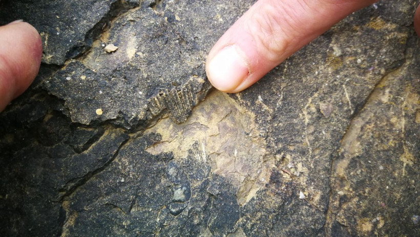 İznikli çiftçi tarlasındaki kayalıklarda büyük bir keşfe imza attı - Resim: 4