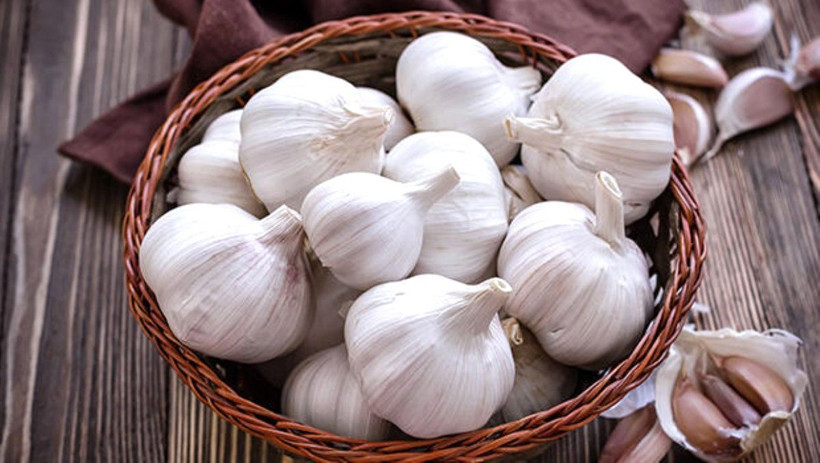 Virüs tehlikesine karşı sarımsak tüketmek doğru mu? - Resim: 4