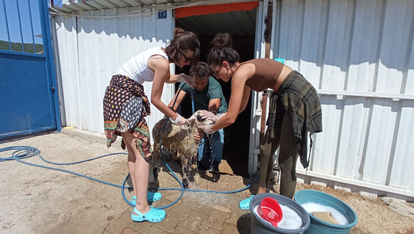 'Acı çekiyorlar' deyip anlattı! İrem Helvacıoğlu Melisa Aslı Pamuk takdir topladı: Neredeyse diri diri... - Resim: 4