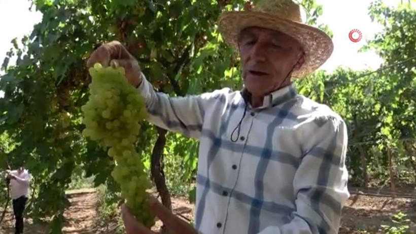 Tokat'ta kravattan sıkılıp bu işe başladı! Bölgede tek oldu: Sipariş yağıyor - Resim: 3