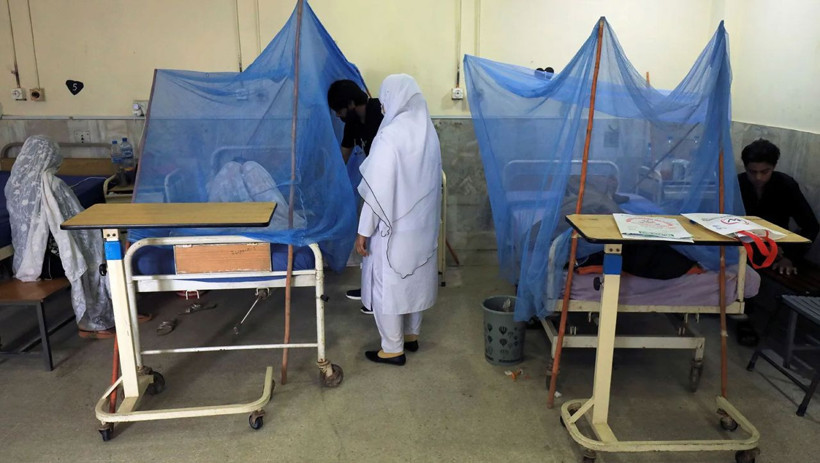 Yeni salgından korkunç haberler geliyor! 22 çocuk öldü, 72 çocuk yoğun bakımda! - Resim: 2