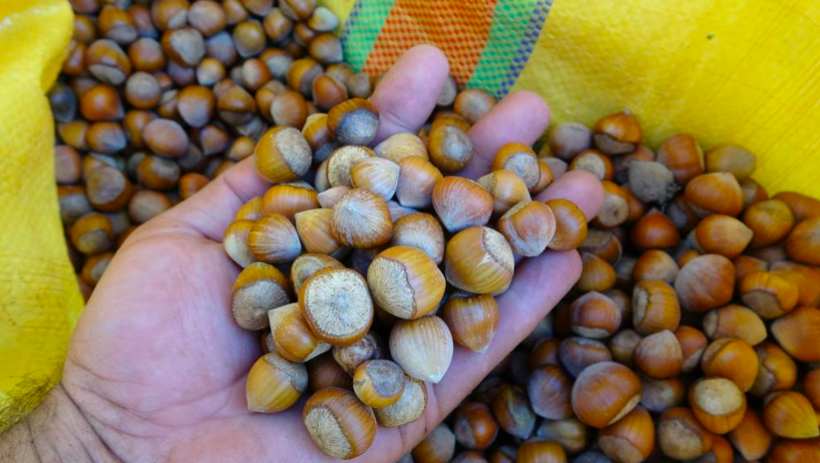 Yılda sadece 1,5 ay çalışıyorlar! Saatlik ücretleri 2 bin lira - Resim: 4