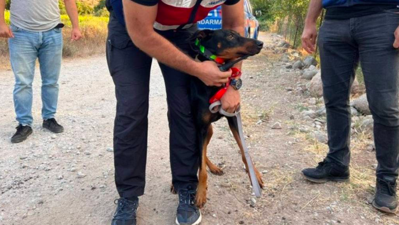 Kayıp ekonomist Berzeg'in sırrı çözülemiyor! Devreye şimdi de metafizikçiler girdi - Resim: 4