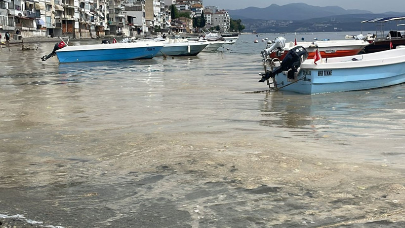 Marmara’da endişelendiren görüntü! Yeniden ortaya çıktı - Resim: 4