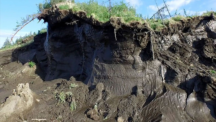 Tam 40 bin yıllık! Canavar başı bulundu - Resim: 3