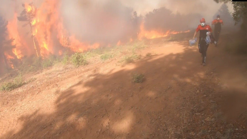 Orman Genel Müdürlüğü açıkladı! Ağustos'ta yüzlerce hektarlık ormanlar yok oldu - Resim: 2