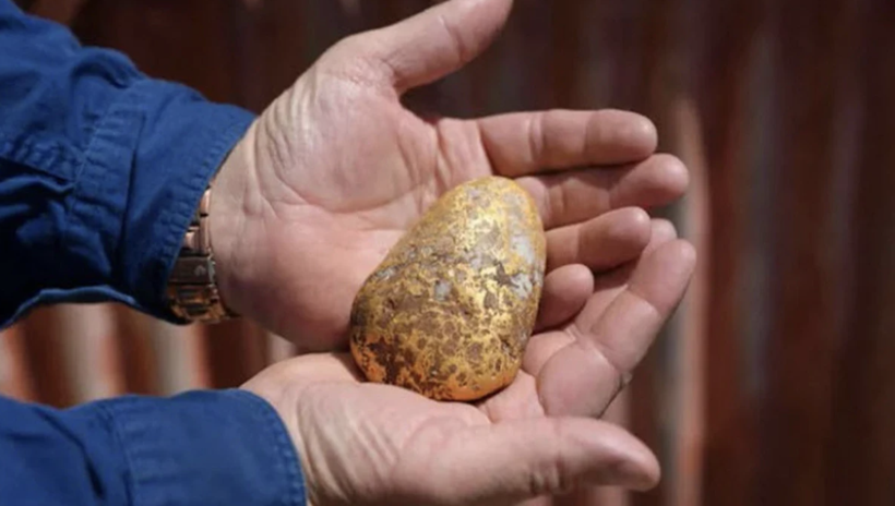 Yıllardır kimse böylesini görmedi! Patates sandı servet çıktı! - Resim: 9