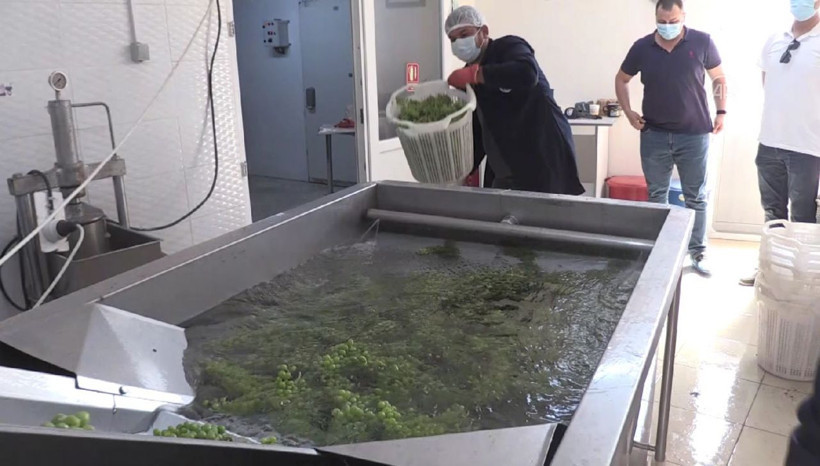 Manisa'da üretildi 3-4 gün içinde bitiyor! On binlerce şişe yetmedi: Yok satıyor - Resim: 3