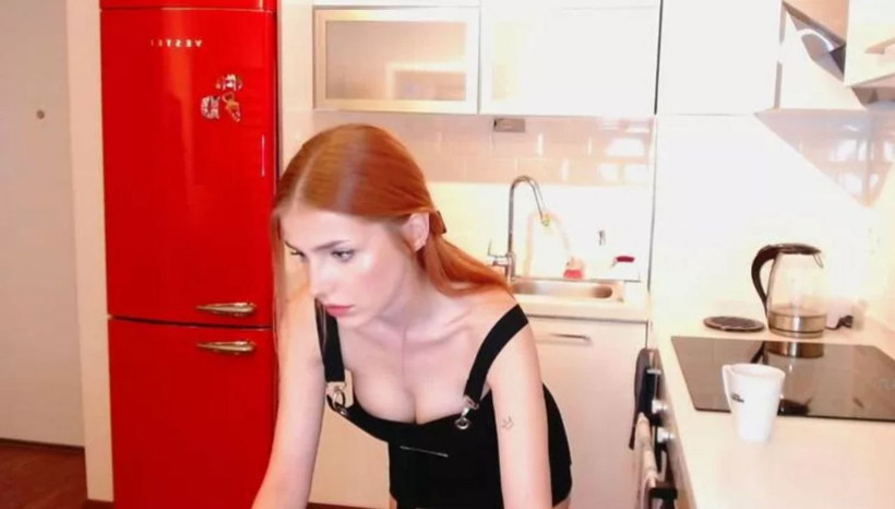 Didem Şener foyası ortaya çıktı! Twitch ile kist için para topladı silikon yaptırdı - Resim: 1