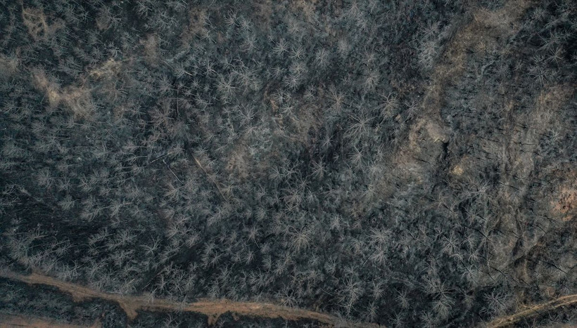 Bilecik'te orman yangınında zarar gören alanlar dronla görüntülendi - Resim: 13