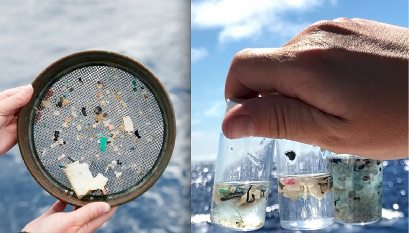 Mikroplastikler sağlığımızı tehdit ediyor! Uzmanlar uyarıyor... - Resim: 3