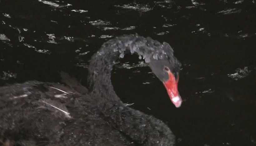 Ankara buz tuttu! Hava sıcaklığı -17 dereceye kadar düştü - Resim: 4