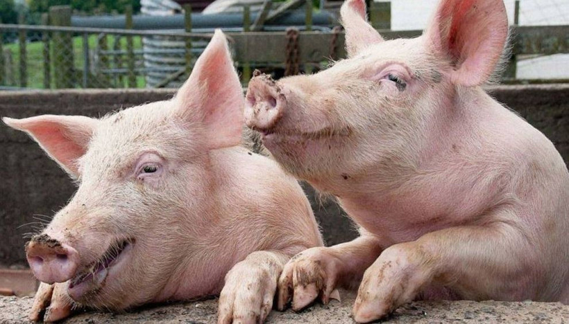 2906 yılından gelen adam yaşanacakları açıkladı! 2023 yılında... - Resim: 4