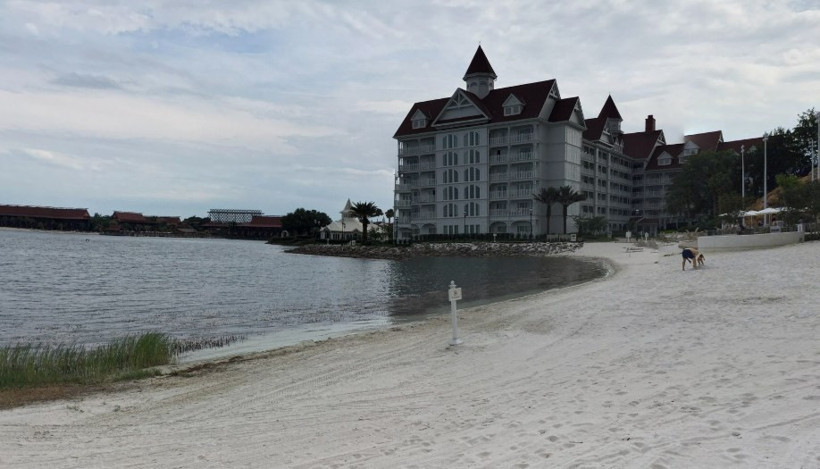 Walt Disney World'da şok! Timsah çocuğu yedi! - Resim: 3