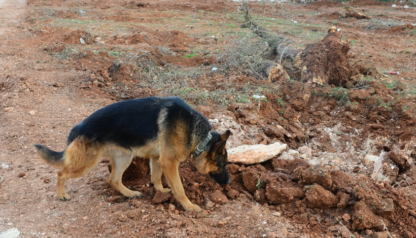 Burseya Dağı'ndan olay görüntü! Mehmetçik sıkınca... - Resim: 4