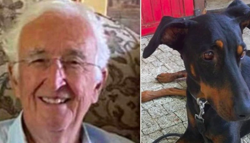 Kayıp Korhan Berzeg düğümü çözüldü mü? Köpeği Tina'nın tahlil sonuçlarından ne çıktı? - Resim: 1