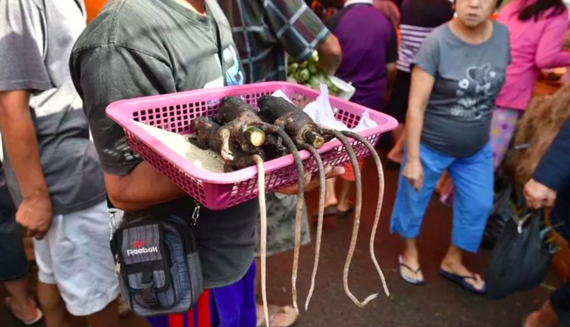 Wuhan'da 18 yeni virüs bulundu yeni salgın korkusu! Koronavirüs de oradan başlamıştı - Resim: 3