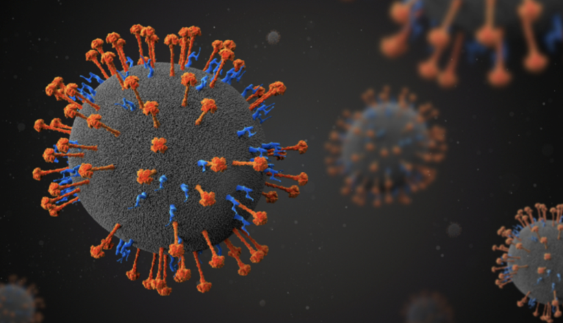 110 kişi karantinada! Covid-19'dan sonra ölümcül virüs yayılıyor! Tedavisi ve aşısı yok... - Resim: 3