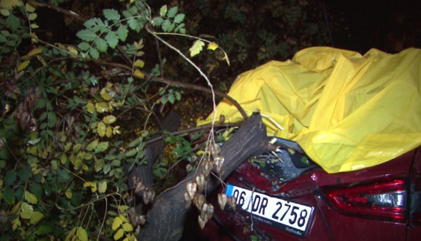 Sağanak hazırlıksız yakaladı! Ağaçlar devrildi sel bastı - Resim: 2