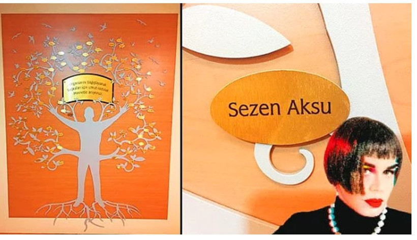 Hangi ünlü hangi hangi organını bağışladı? - Resim: 1