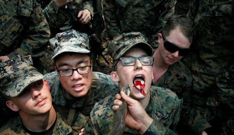 Kobra, kurbağa, akrep! Cobra Gold tatbikatından mide bulandıran görüntüler - Resim: 4