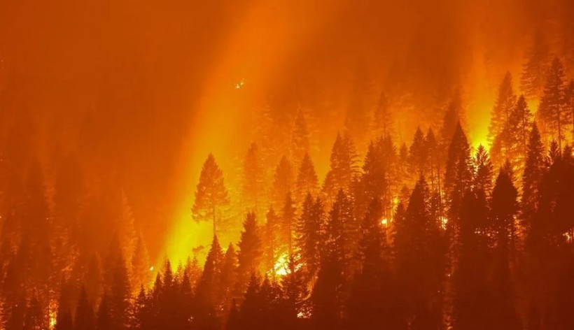 Bulaşıcı hastalıkların şiddetinin artma sebebi ortaya çıktı - Resim: 2