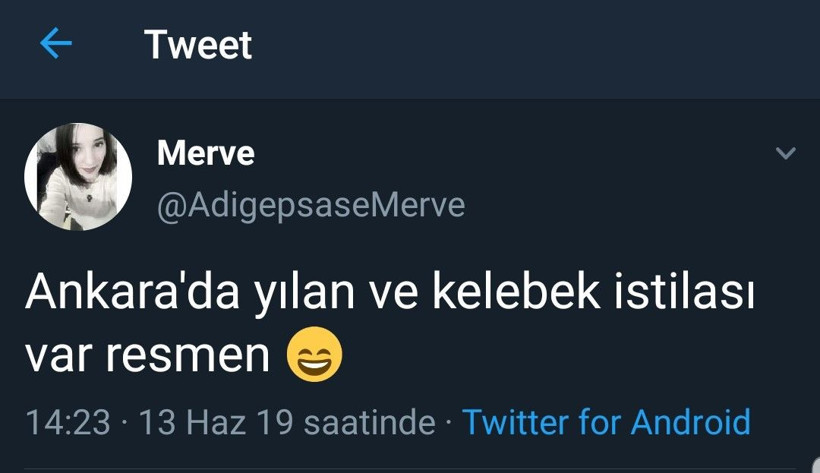 Yağışlardan sonra Ankara'yı yılanlar bastı! - Resim: 2