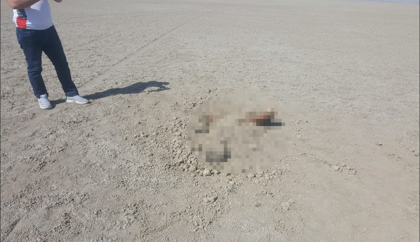 Konya'da toprağa gömülen ceset hakkında korkunç detaylar gün yüzüne çıktı - Resim: 4