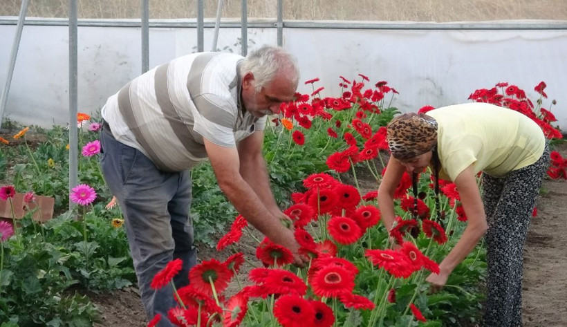 Tokat'ta sınıf öğretmeni hobi olarak başladı şimdi talebe yetişemiyor - Resim: 3