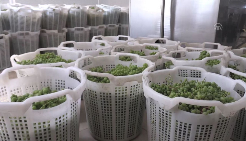 Manisa'da üretildi 3-4 gün içinde bitiyor! On binlerce şişe yetmedi: Yok satıyor - Resim: 2