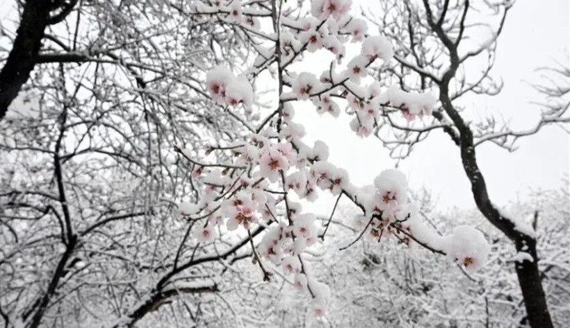 18 Derece birden düşüyor! La nina etkisine dikkat! Bu kış sert geçecek - Resim: 3