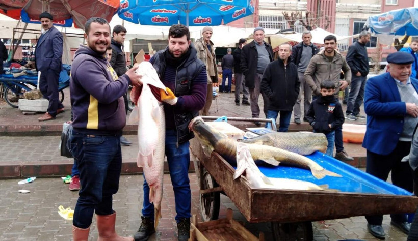 Botan Çayı'nda yakalandı görenler gözlerine inanamadı - Resim: 1