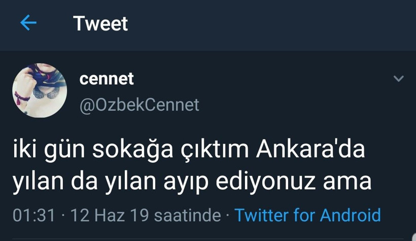 Yağışlardan sonra Ankara'yı yılanlar bastı! - Resim: 3