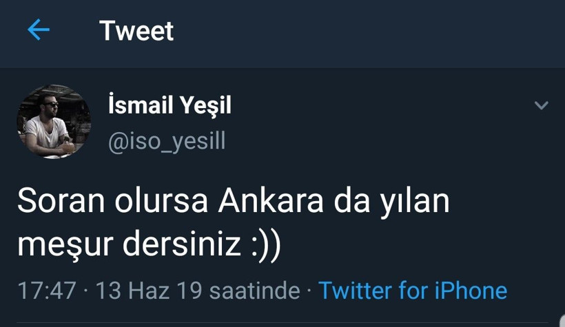 Yağışlardan sonra Ankara'yı yılanlar bastı! - Resim: 4