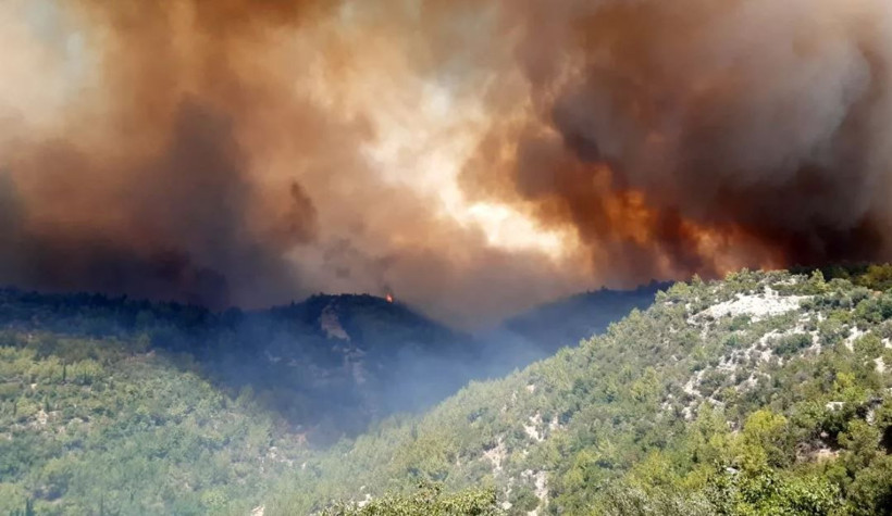 Demet Akalın 'özel durumum vardı' diyen THK Kayyumu Cenap Aşçı'yı bombaladı! - Resim: 2