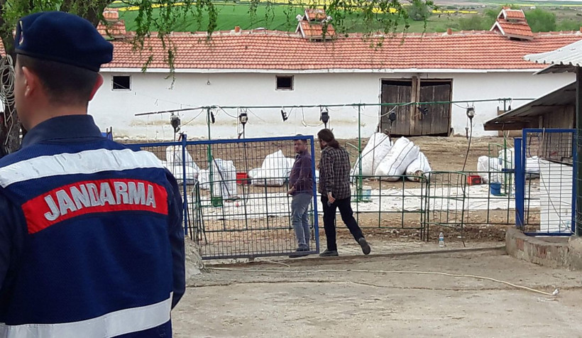 Koyun kırkma sırasında elektrik akımına kapıldılar: 1 ölü, 10 yaralı - Resim: 4